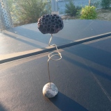 Graine de lotus - Cap sur l'art